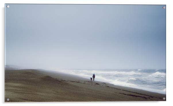 Beach, Woman, Dog, waves Acrylic by Brent Olson