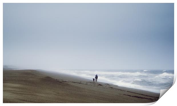 Beach, Woman, Dog, waves Print by Brent Olson