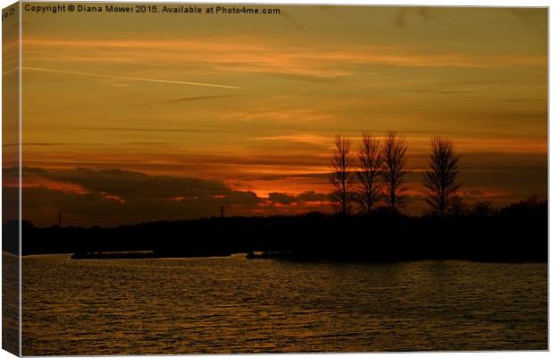  Golden Sunset at Abberton Reservoir  Canvas Print by Diana Mower
