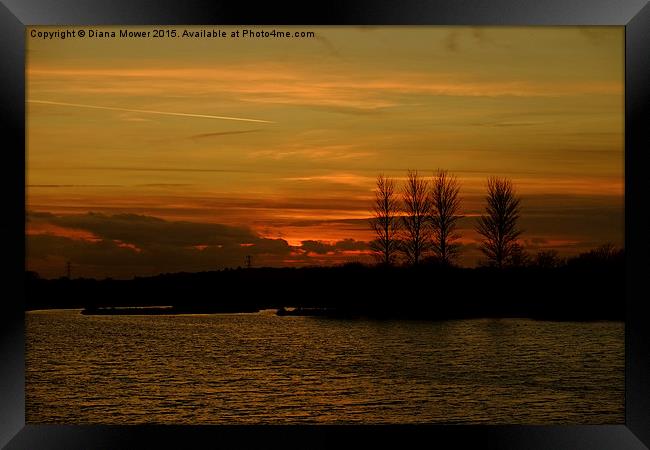  Golden Sunset at Abberton Reservoir  Framed Print by Diana Mower