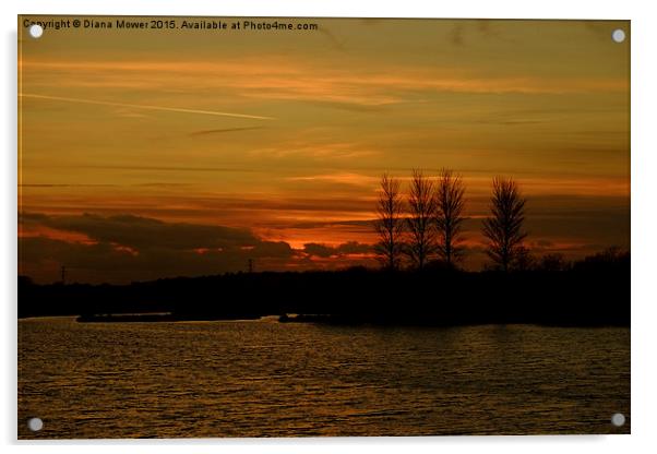  Golden Sunset at Abberton Reservoir  Acrylic by Diana Mower