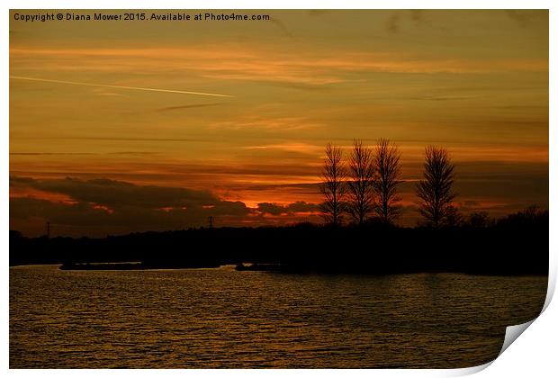 Golden Sunset at Abberton Reservoir  Print by Diana Mower