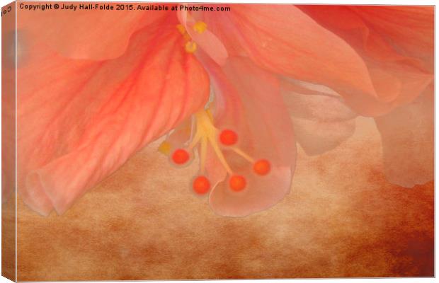  Peachy Blossom Canvas Print by Judy Hall-Folde