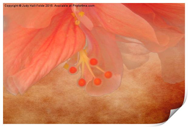  Peachy Blossom Print by Judy Hall-Folde