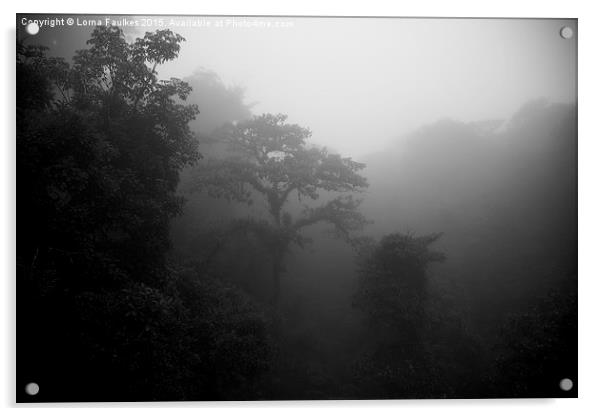 The Mist  Acrylic by Lorna Faulkes