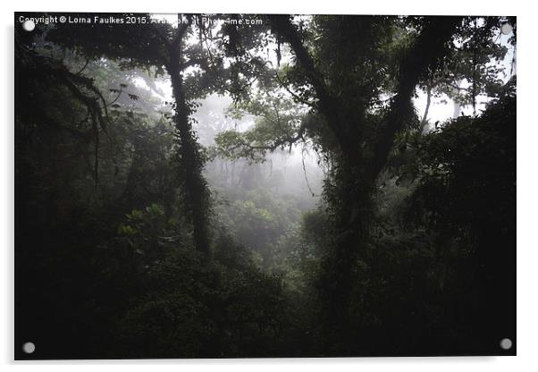 Costa Rican Jungle  Acrylic by Lorna Faulkes