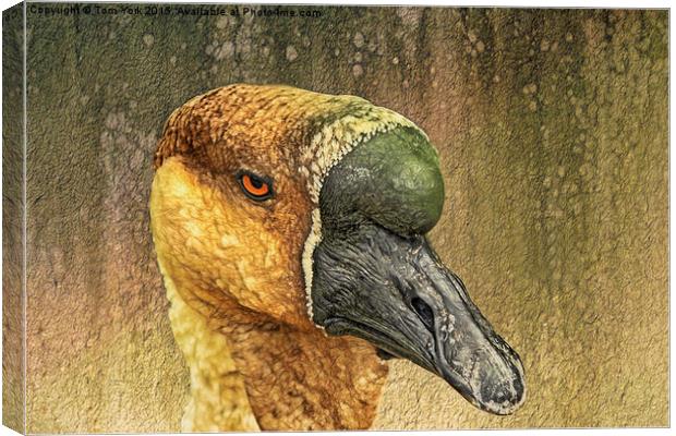 Golden Goose Canvas Print by Tom York