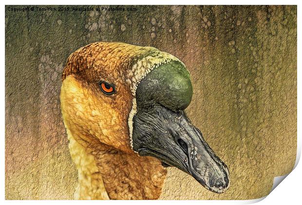 Golden Goose Print by Tom York