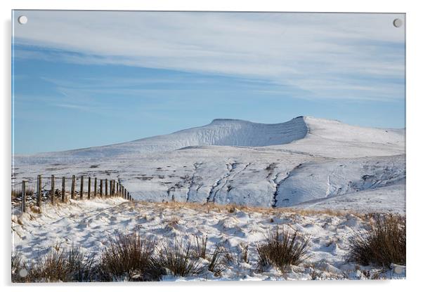  Brecon Beacons Winter  Acrylic by Lesley Newcombe