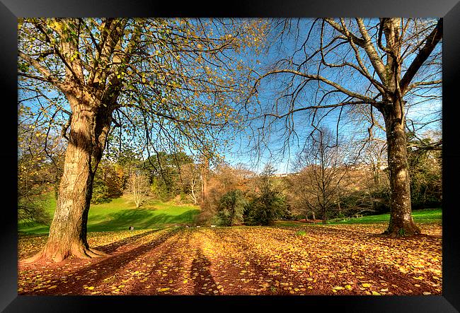  Cockington Country Park Torquay Framed Print by Rosie Spooner