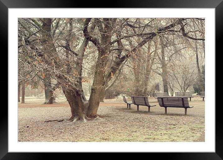  Walk in the Snowy Old Park  Framed Mounted Print by Jenny Rainbow