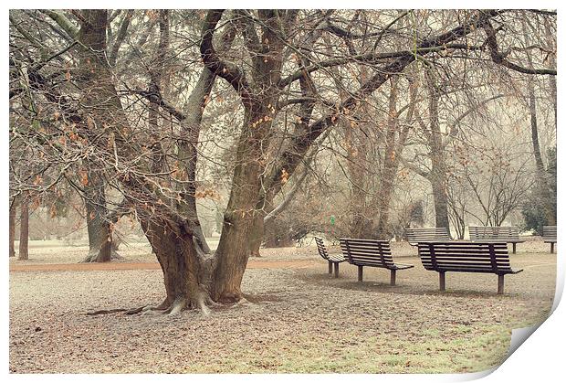  Walk in the Snowy Old Park  Print by Jenny Rainbow