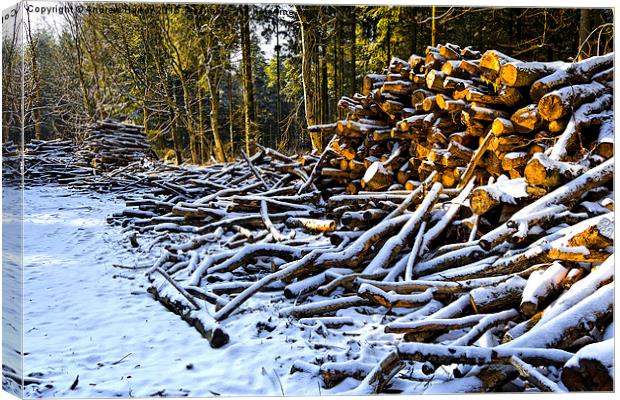 Snow covered woodpiles Canvas Print by Andrew Harker