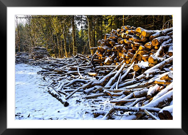 Snow covered woodpiles Framed Mounted Print by Andrew Harker