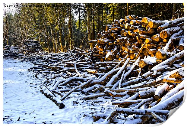 Snow covered woodpiles Print by Andrew Harker