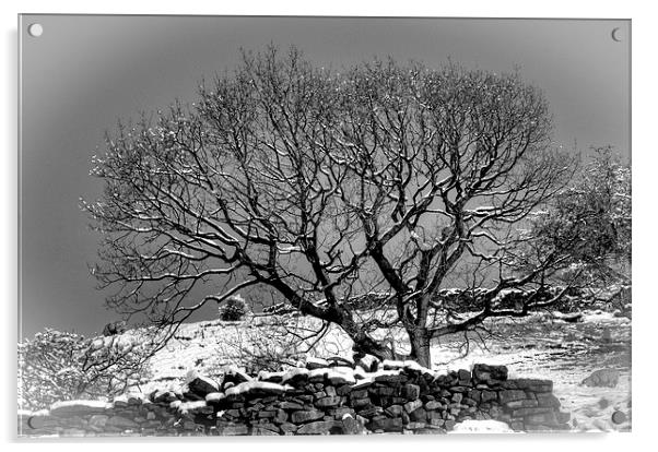  A winters day Acrylic by Trevor Kerr