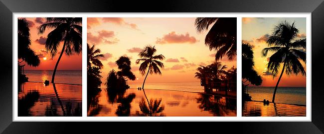  Tropical Sunset. Triptych Framed Print by Jenny Rainbow