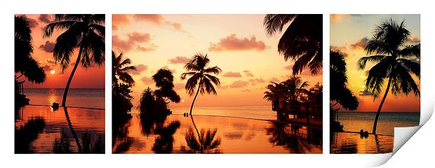  Tropical Sunset. Triptych Print by Jenny Rainbow