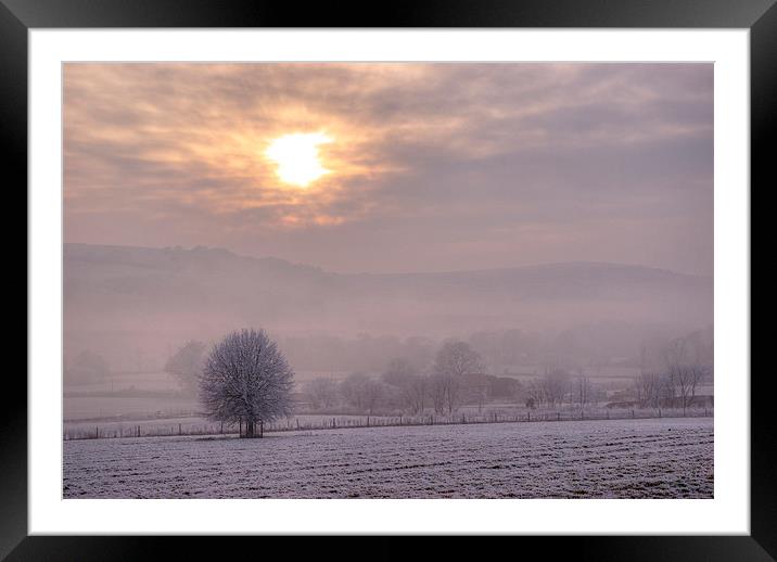South Downs Hoar Frost Framed Mounted Print by Malcolm McHugh