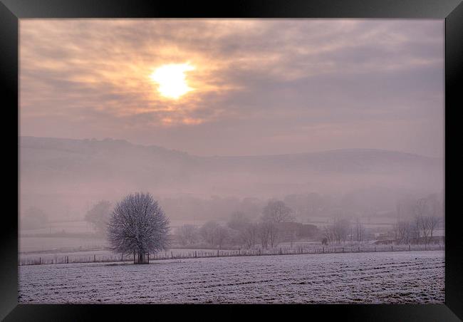 South Downs Hoar Frost Framed Print by Malcolm McHugh