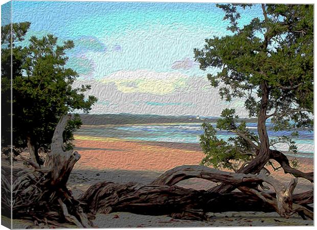  Beach at Playa Guionnes Canvas Print by james balzano, jr.
