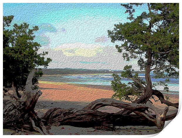  Beach at Playa Guionnes Print by james balzano, jr.