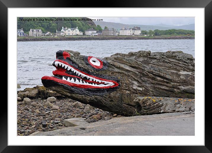  Crocodile Rock, Millport. Framed Mounted Print by Diana Mower