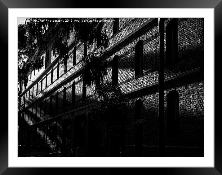  B&W Wall Framed Mounted Print by CRW Photography
