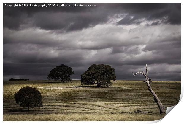  Moody Print by CRW Photography