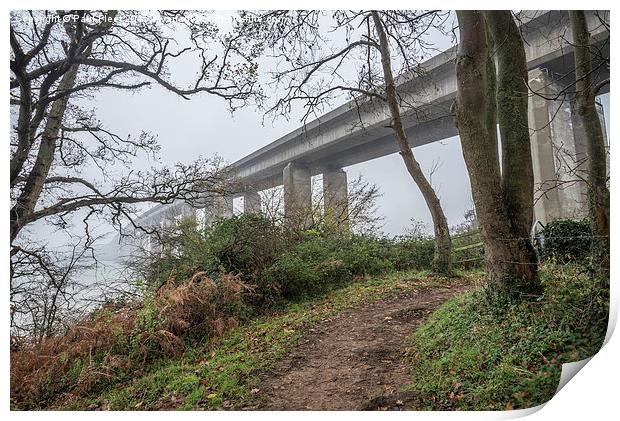 Bridge in the Misty Morning Print by Paul Fleet
