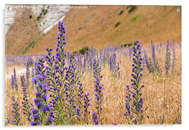 Purple flowers, New Zealand Acrylic by Phil Crean
