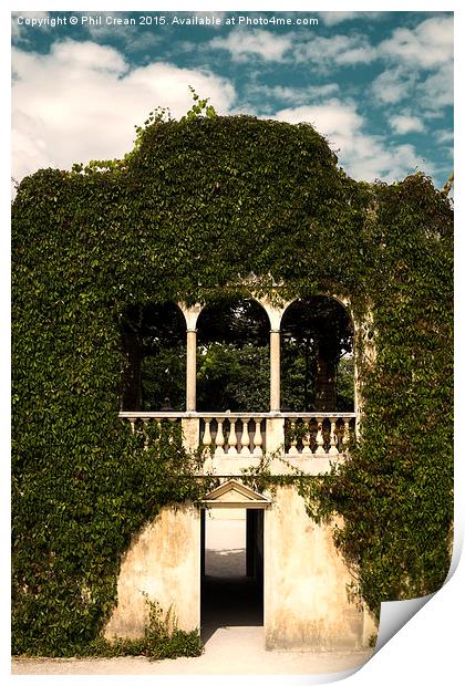  Italian arch overgrown, New Zealand Print by Phil Crean