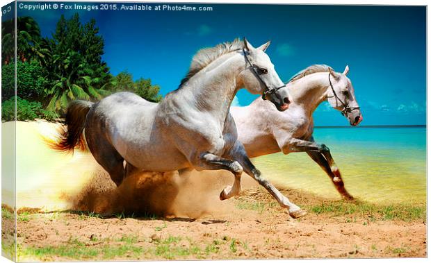  horses and beach Canvas Print by Derrick Fox Lomax