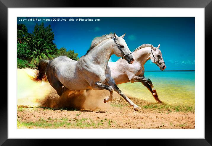  horses and beach Framed Mounted Print by Derrick Fox Lomax