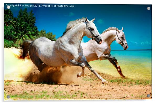 horses and beach Acrylic by Derrick Fox Lomax