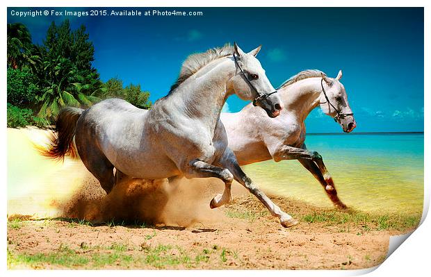  horses and beach Print by Derrick Fox Lomax