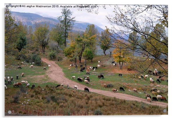 A flock of  Sheep grazing in jungle, Acrylic by Ali asghar Mazinanian