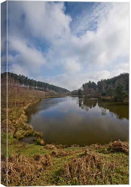 Fairoak Fishing Pool Canvas Print by Ann Garrett