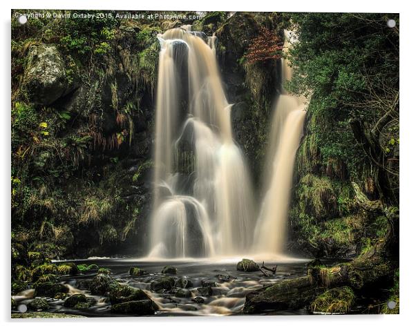 Valley of Desolation Waterfall Acrylic by David Oxtaby  ARPS