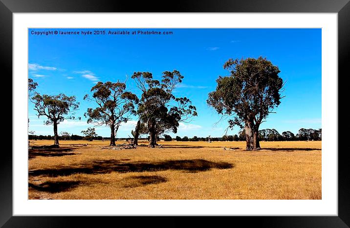  Outback Summertime Framed Mounted Print by laurence hyde