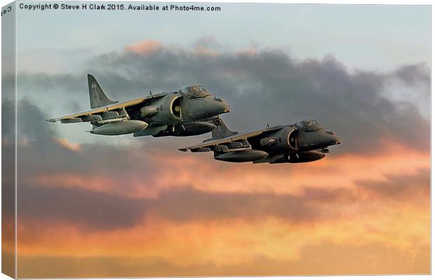 Harriers at Sunset Canvas Print by Steve H Clark