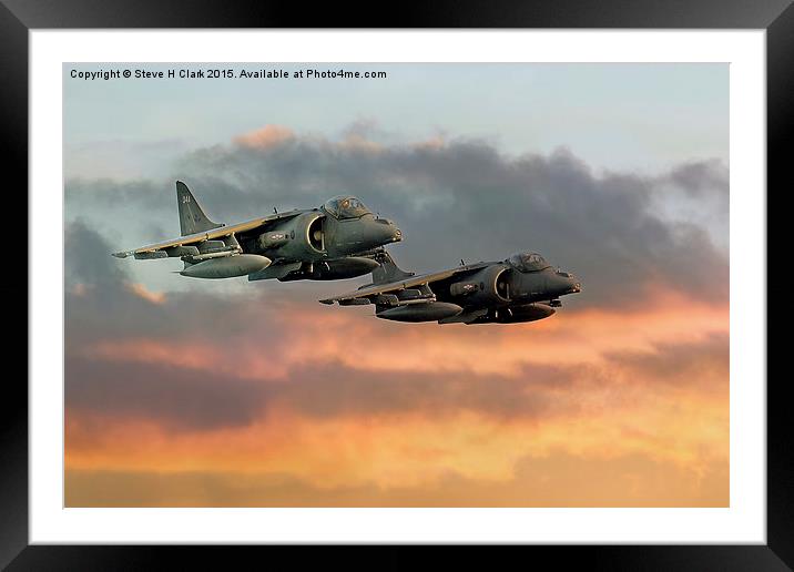 Harriers at Sunset Framed Mounted Print by Steve H Clark