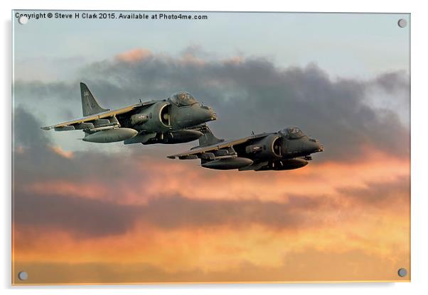 Harriers at Sunset Acrylic by Steve H Clark