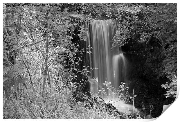  LEAFY WATERFALL   Print by andrew saxton