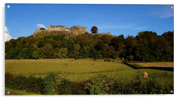 Stirling castle Acrylic by jim scotland fine art