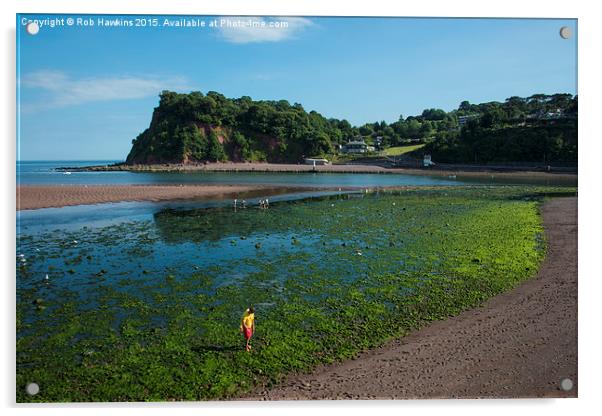  Weedy beach  Acrylic by Rob Hawkins