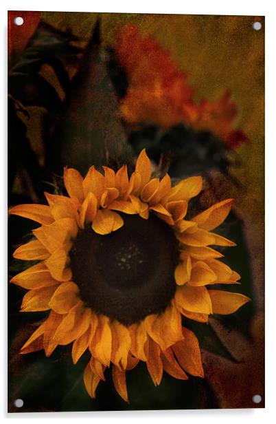 Sunflower Acrylic by Ann Garrett
