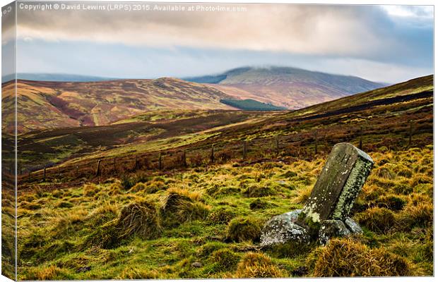 Hedgehope Hill - Harthope Valley Canvas Print by David Lewins (LRPS)