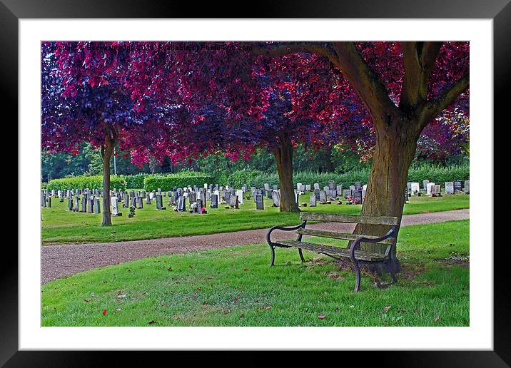  Empty Bench Framed Mounted Print by Becky shorting