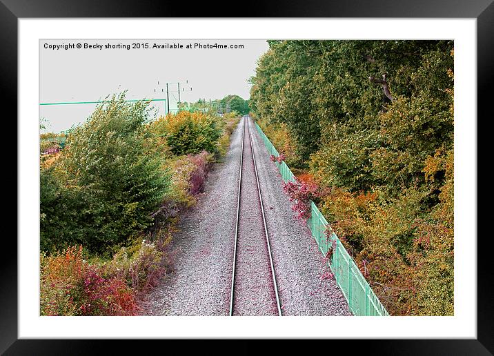  train tracks Framed Mounted Print by Becky shorting